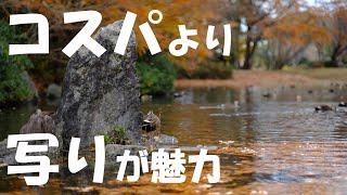 【レビュー】作例で分かる✨現代の「オールドレンズ」 銘匠光学 TTArtisan 50mm f1.2 C【FUJIFILM X-E3】