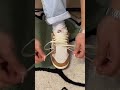 how to lace your nike dunk low tutorial