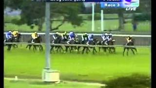 2011-10-11 Greyville race 3