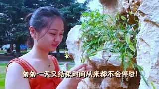 石小倩热泪盈眶的一首《过了今夜又黎明》听醉了，听哭了！