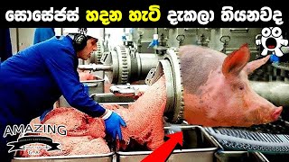 අපි ආසම සොසේජස් ෆැක්ටරිවල හදන හැටි.Sausage Satisfying Food Processing Machines M.r Pudumaya Part 05