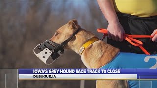 Iowa's Greyhound Race Track To Close