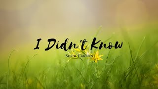 I Didn't Know- Sofia Carson