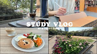 Study Vlog Housewife who is an introvert studies outside on sunny days 📚/Cafe/Library/Korean/English