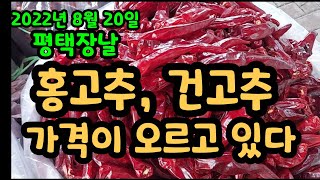 평택장날 홍고추, 건고추 가격이 오르고 있다