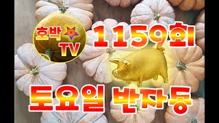 1159회 토요일 반자동 4장 [ 금요일 구매; 정초에 초대박나세요 ] #호박TV  #반자동 #수동 #대박 #대박기원 #1등당첨기원 #1등당첨 #동행복권