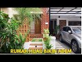 Rumah Tropis Serba Hijau