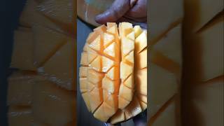 Fruits cutting mango 🥭🥭#trending #fruit #shots 🥭January 2025