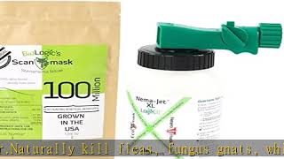 BioLogic Scanmask Beneficial Nematodes, Steinernema feltiae Sf Nematodes for Natural Insect Pest Co