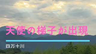 吉兆の予感！天使の梯子が四万十川の夕暮れに出現(高知)