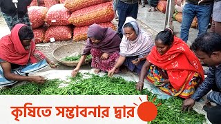 জাজিরার লাউ মিলবে সুইডেনে | Vegetable Export in Sweden