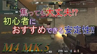 【AVA】瑠己の爆破成長日記part79【M4 MK.5】