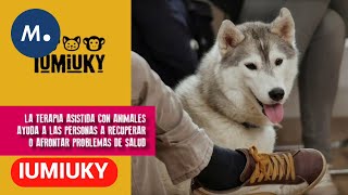 IUMIUKY: Dogtor animal, intervención asistida con animales | Mediaset