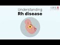 How Rh factor affects a pregnancy?