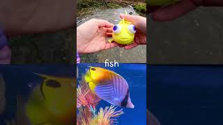 Learn Sea Creature Names at the Brook for Kids | Animal Learning: Shark Walrus Eagle Ray Fish Whale