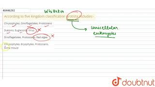 According to five kingdom classification protista includes:-