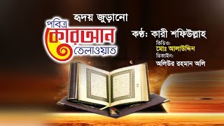 কারী শফিউল্লাহ | কোরআন তেলাওয়াত | Al-Quran Bangla | ALAUDDIN IMC MEDIA |