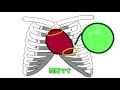 【看護師国家試験対策】第108回午前16 17 18 19 20 21　抗がん剤の薬と副作用・心臓のⅠ音Ⅱ音・バイオハザードマーク・感染性廃棄物