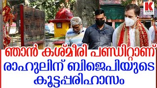 ഇവിടുന്ന് കിട്ടുന്നതൊന്നും പോര;കശ്മീരില്‍ ചെന്നും വാങ്ങിക്കൂട്ടി രാഹുല്‍