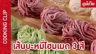 เส้นบะหมี่โฮมเมด 3 สี (บะหมี่ไข่ บะหมี่ผักเคล บะหมี่บีตรูด) | เมนูเส้นสดทำเองได้ที่บ้าน : Maeban