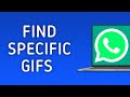 How to Find Specific GIFs in WhatsApp on PC