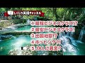 タイ航空の激安ビジネスクラスを知らないと損をする！ バンコク vip出国で他社ラウンジも使い放題！超おススメ裏ルートが●万円！だ▶しくじり英語▶ the superb airfare from bkk