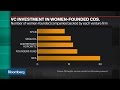 Measuring VC Investment in Female-Led Companies