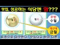 정통풍수지리44 양택사례🟡자막방송