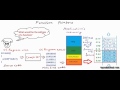 Function Pointers in C / C++