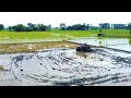 Bowl Of Rice In Bihar || Rohtas Dictrict || Green Life Bihar