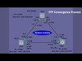 STP Convergence Process