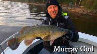 Wyangala Dam fishing for Murray Cod, Yellowbelly and Silver Perch