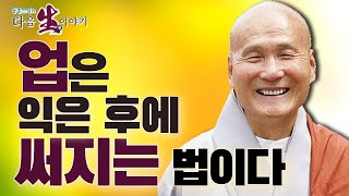 지은 업이 익기 전에는 달지만 익은 후에는 쓰다  - 동훈스님의 다음 생 이야기 104회