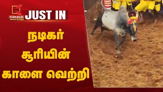 Actor Soori Kaalai Winner | நடிகர் சூரியின் காளை வெற்றி | Alanganallur Jallikattu 2025 | Madurai