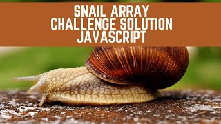 Snail Array Challenge Solution JavaScript // Day 5 of 365 Days of Coding // JavaScript Challenge 5