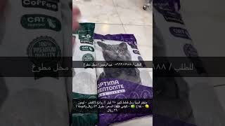 ارخص رمل قطط 🐈 🐈‍⬛ ممكن تحصله كيس 👛 كبير الموقع والسعر بالداخل