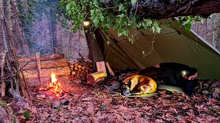 Winter Camping in Emergency Bushcraft Shelter - Campfire Cooking, Nature Documentary, Survival Camp