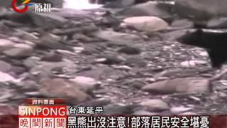 台灣黑熊出沒注意!影像捕獲蹤跡 20120328