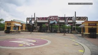 Ohio Attorney General opens investigation into Columbus Zoo amid allegations