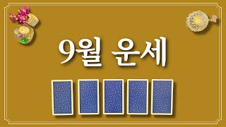 9월 운세⭐️(feat.9월에 있을 좋은 일)