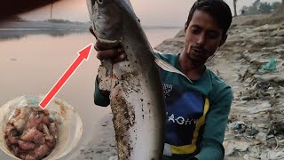 দিনের বেলায় নদীতে বোয়াল শিকার || new fishing 🎣 video ||hook fishing video