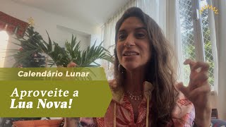 Melhores dicas para a Lua Nova em Capricórnio!