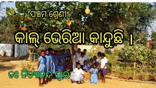 Osepa,class:5/କାଲଭେରିଆ କାନ୍ଦୁଛି।kalveria kanduchhi