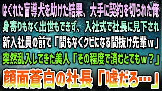 【感動する話】はぐれた盲導犬を助けた結果、大手の契約が切れる羽目に…入社式で社長「間もなくクビの先輩だｗ」会場に突然乱入してきた美人女性が駆け寄り「その程度で済むとでも？」社長「嘘だろ…」【