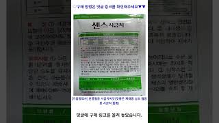 [가람종묘사] 한풍월동 시금치씨앗(맛좋은 재래종 섬초 월동용 시금치 품종) 가성비 꿀맛 #shorts 내돈내산video