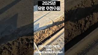 2025년 추천수종 선주목입니다.