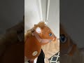 hobby horsing 😄 hobbyhorse fypシ equestrian lemieux viral