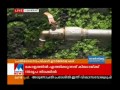 3 dies due to diarrhea in palakkad manorama news