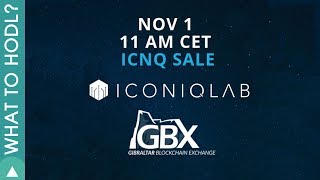 Iconiq Labs Review - World’s First Decentralized Venture Capital Group