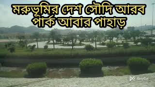 মরুভূমির দেশ সৌদি আরব পার্ক আবার পাহাড়